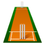 Cricket Pitch 